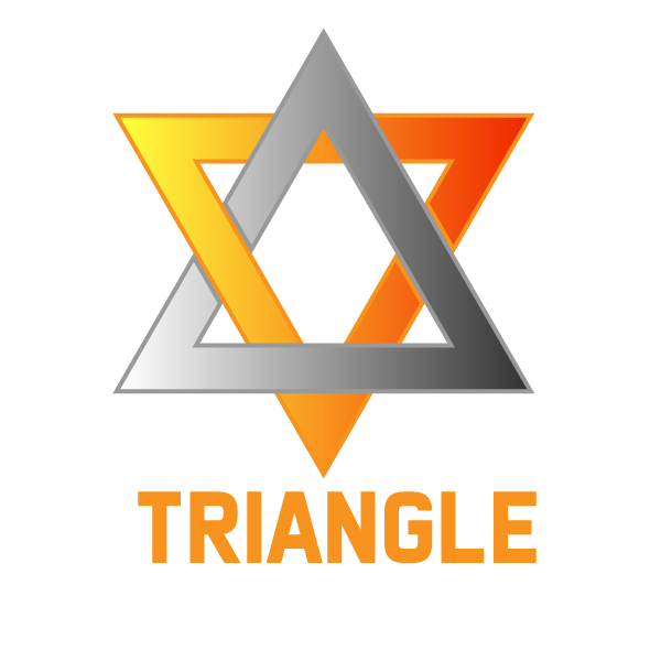 Triangle corporate company logo design vector