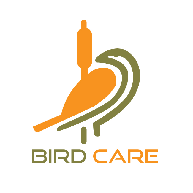 Bird care and bird doctor brand logo vector