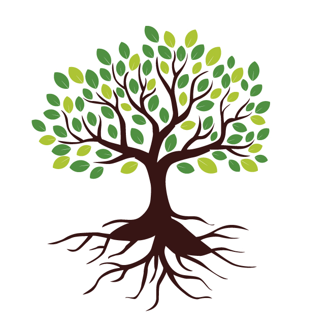 Logo Design for Botanical tree Organic nature and Natural plant emblem