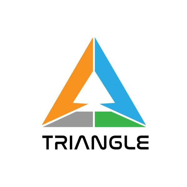 Triangle simple modern professional logo vector